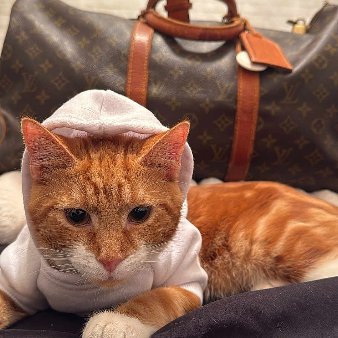 Bartholomew