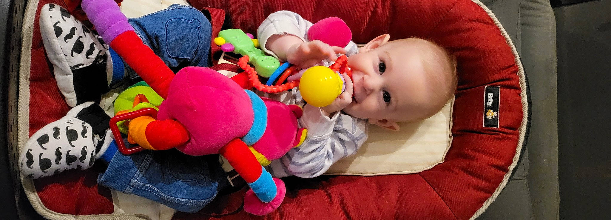 Roxan a rejoint le concours — aidez-le/la à gagner de superbes lots ! baby, baby_playing_with_toys, baby_products, baby_toddler_clothing, baby_toys, cheek, child, comfort, event, fun, happy, human_body, leisure, person, pink, play, plush, smile, stuffed_toy, toddler