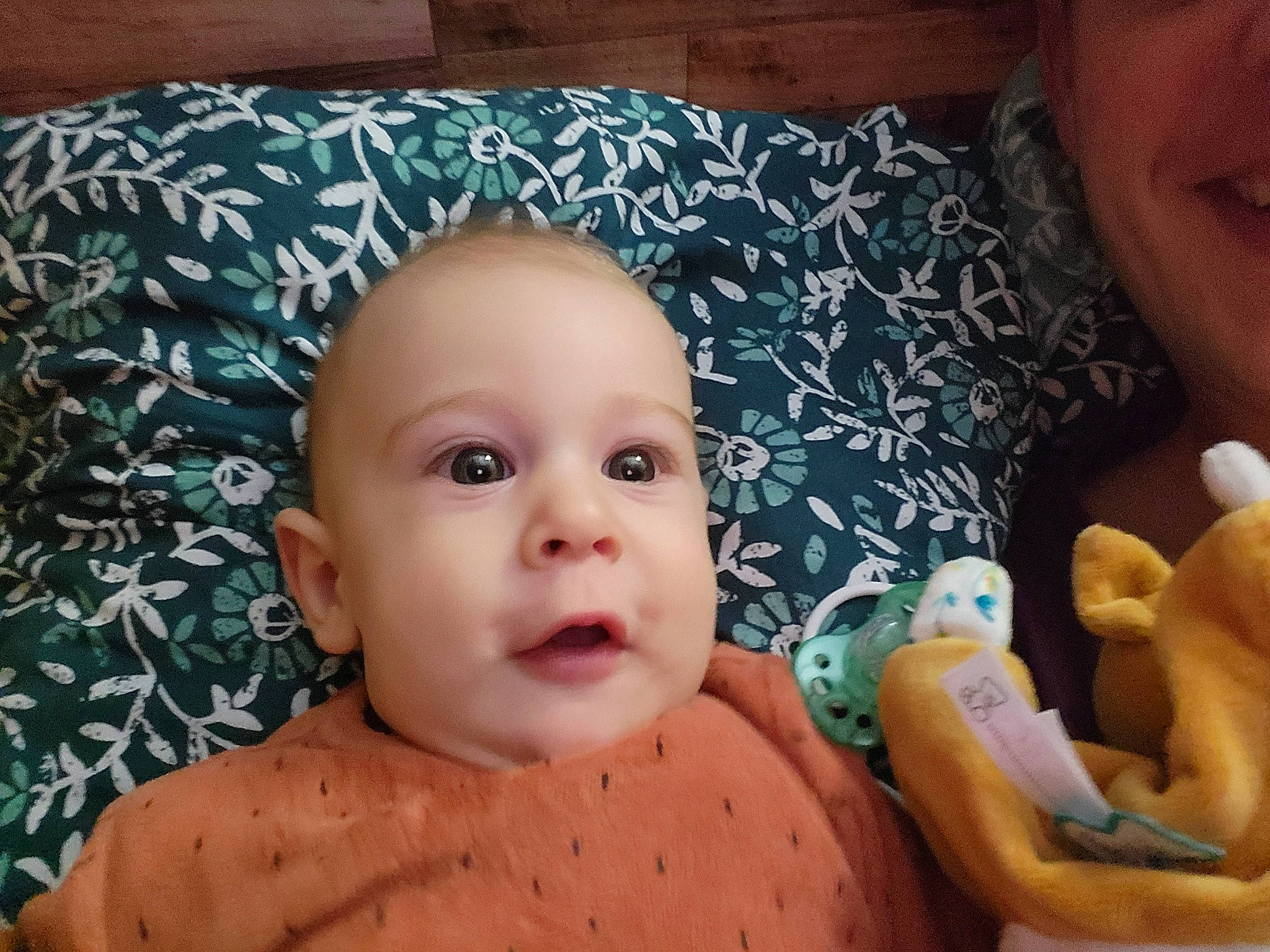 Roxan a rejoint le concours — aidez-le/la à gagner de superbes lots ! baby, cheek, chest, chin, eye, eyelash, finger, gesture, happy, human_body, iris, lip, mammal, mouth, muscle, nose, organ, person, skin, smile