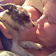 Lil Bit joined the competition — help win amazing prizes! affection, bond, close_up, collar, comfort, cuddle, dog, face, fur, hair, hand, indoor, intimacy, love, person, pet, relaxation, shoulder, skin, smile