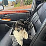 puppy, dog, car, pet_car_seat, black_and_white, fur, seatbelt, leather_seat, window, outdoor, tree, sky, daylight, curious, animal, companion, travel, transportation, domestic_animal, cute