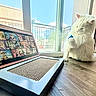 cat, white_cat, fluffy, long_hair, sitting, raised_paw, laptop, computer, cat_photos, window, sunlight, indoors, table, wood_surface, urban_view, balcony, blue_sky, pet, portrait, technology