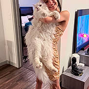 Merlin joined the competition — help win amazing prizes! woman, person, cat, white_cat, fluffy_cat, long_hair, pet, smiling, holding, indoors, living_room, bedroom, television, buddha_statue, wood_floor, doorway, dress, portrait, home, funny