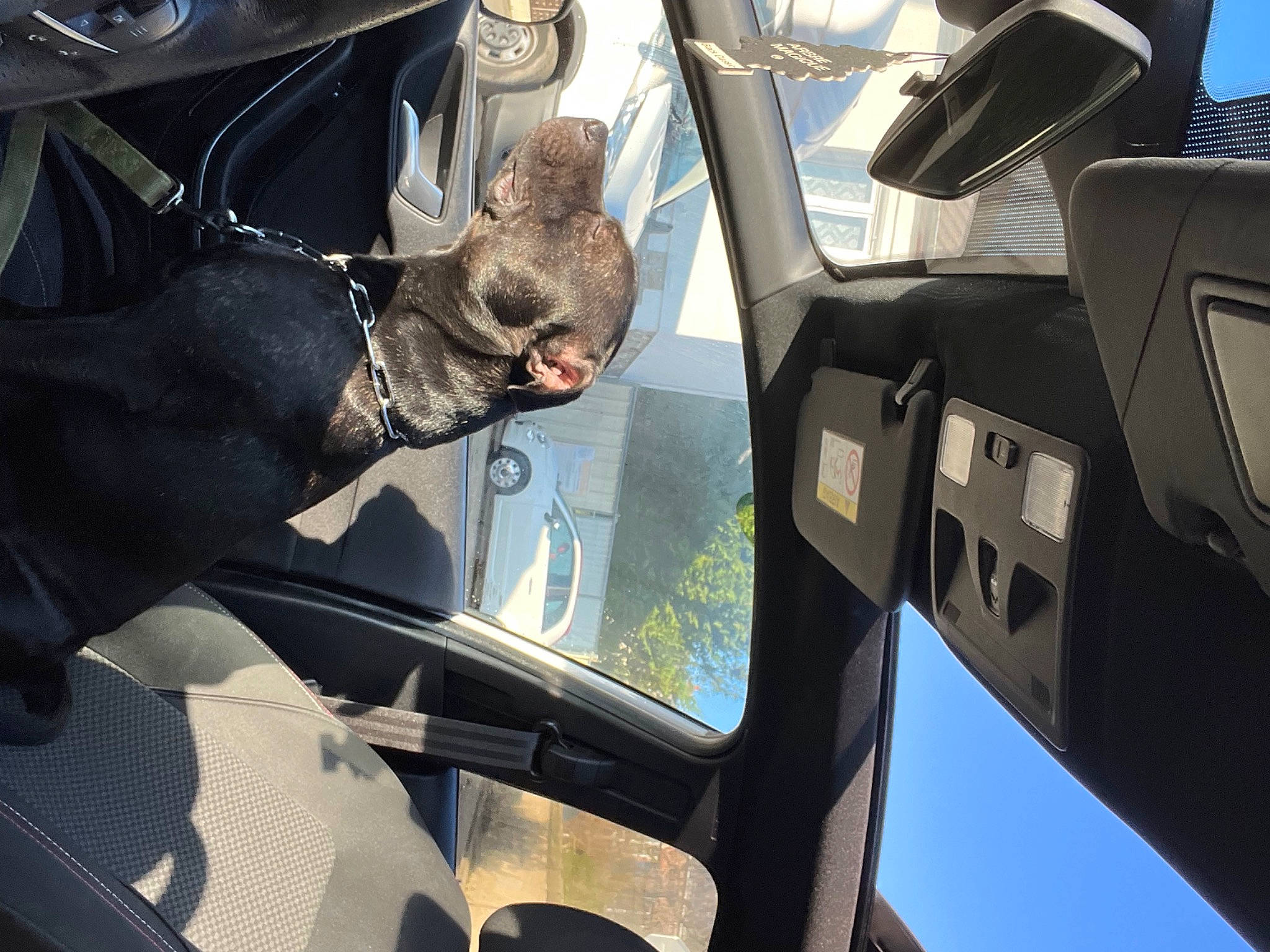 Rapido participe au concours pour gagner de l'argent avec cette photo : air_travel, auto_part, automotive_design, automotive_exterior, automotive_lighting, automotive_tire, automotive_wheel_system, automotive_window_part, car, gesture, glass, hood, mode_of_transport, motor_vehicle, personal_luxury_car, steering_wheel, vehicle, vehicle_door, window, windshield