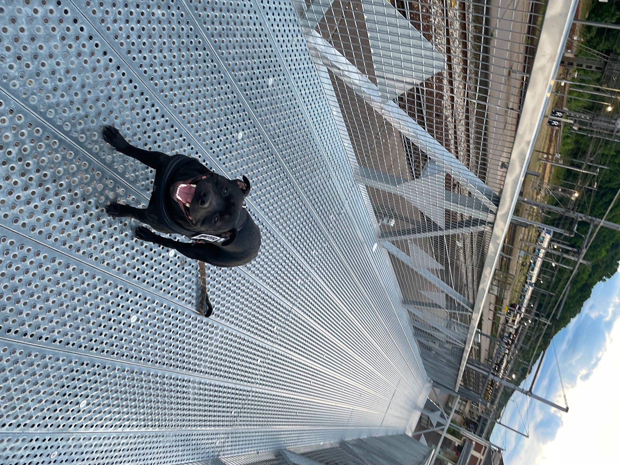 Rapido participe au concours pour gagner de l'argent avec cette photo : asphalt, auto_part, building, carbon, cloud, composite_material, glass, grey, line, mesh, metal, pattern, pedestrian, public_utility, recreation, road_surface, sky, sports_equipment, steel, wire