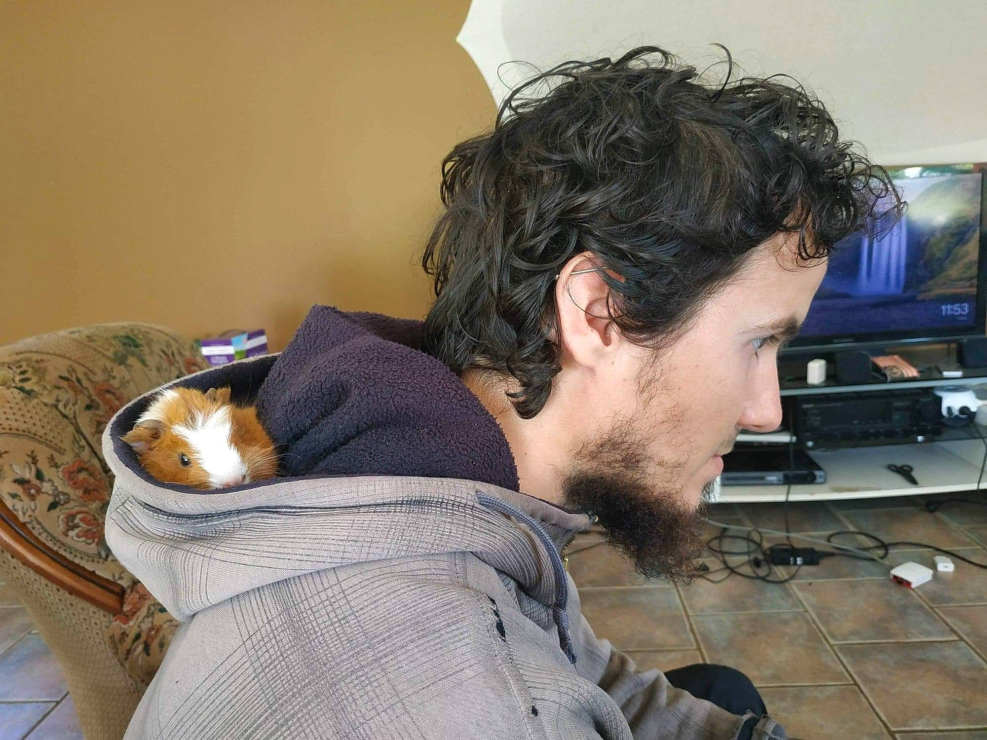 Happy participe au concours pour gagner de l'argent avec cette photo : beard, black_hair, canidae, carnivore, companion_dog, ear, facial_hair, hair, hairstyle, human, long_hair, nap, puppy, puppy_love, sporting_group