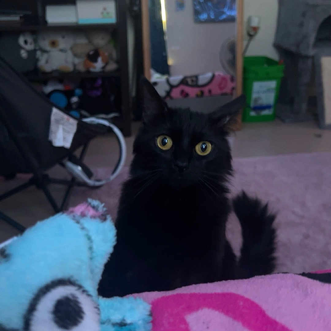 Soot