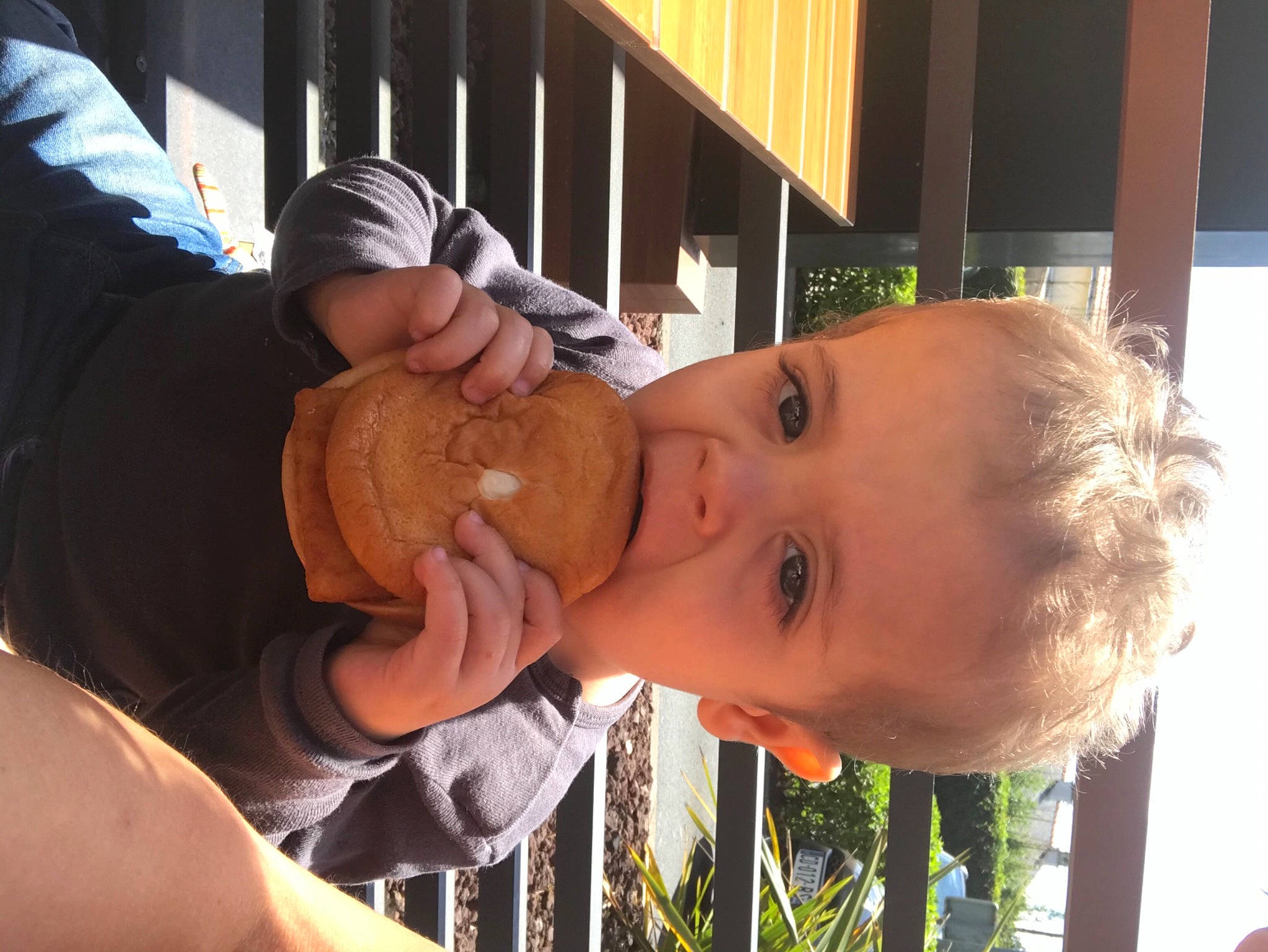 Elyoth a rejoint le concours — aidez-le/la à gagner de superbes lots ! baby, baby_products, baseball_cap, child, drinking, eyelash, fence, fun, grass, happy, hat, leisure, nose, person, recreation, sitting, t_shirt, thumb, toddler, tree