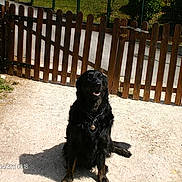 Diego participe au concours pour gagner de l'argent avec cette photo :