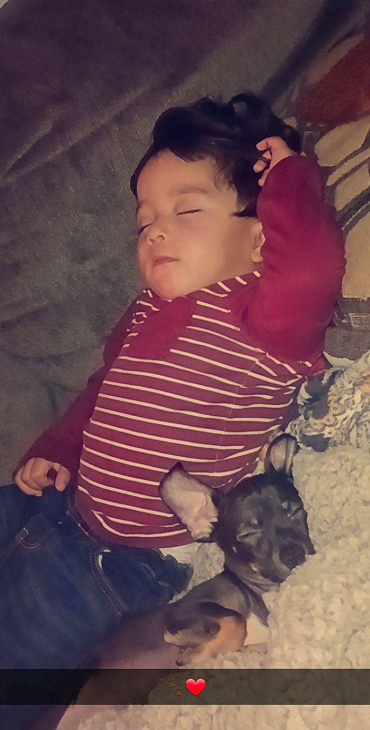 Brian joined the competition — help win amazing prizes! baby, baby_toddler_clothing, carnivore, child, companion_dog, cool, dog, dog_breed, fun, fur, happy, iris, nose, organ, person, sitting, skin, sleeve, tints_and_shades, toddler