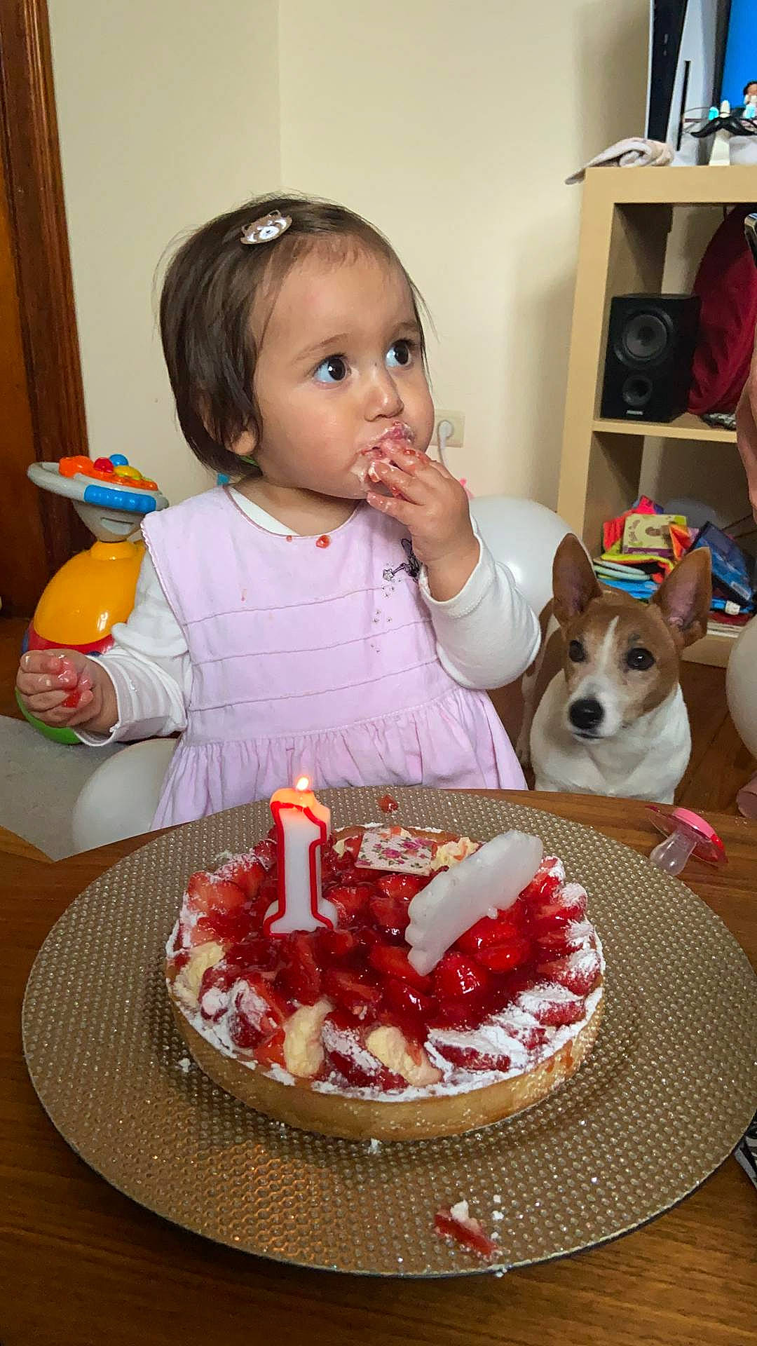 Maylis participe au concours pour gagner de l'argent avec cette photo : baked_goods, birthday_cake, birthday_candle, cake, cake_decorating, candle, chair, companion_dog, cuisine, dog, food, ingredient, person, plate, recipe, shelf, sugar_cake, sweetness, table, tableware