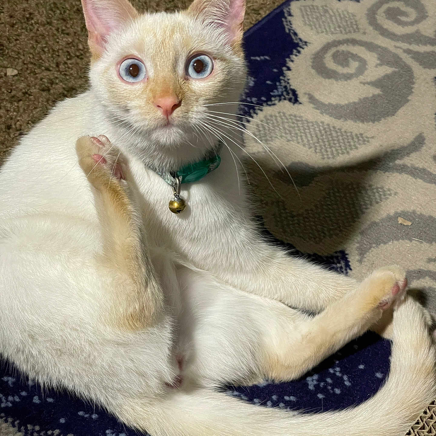 Delilah