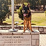 dog, german_shepherd, veterans_memorial, monument, stone_wall, plaque, park, trees, grass, flagpole, harness, tongue_out, paws, sunlight, portrait, shallow_depth_of_field, outdoor, patriotism, paved_walkway, standing