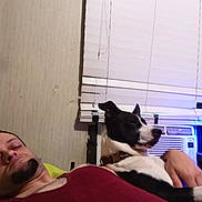 Kronix joined the competition — help win amazing prizes! man, dog, indoor, window, blind, air_conditioner, couch, relaxed, pet, black_and_white, tank_top, facial_hair, resting, cuddling, human, animal, companion, home, furniture, casual