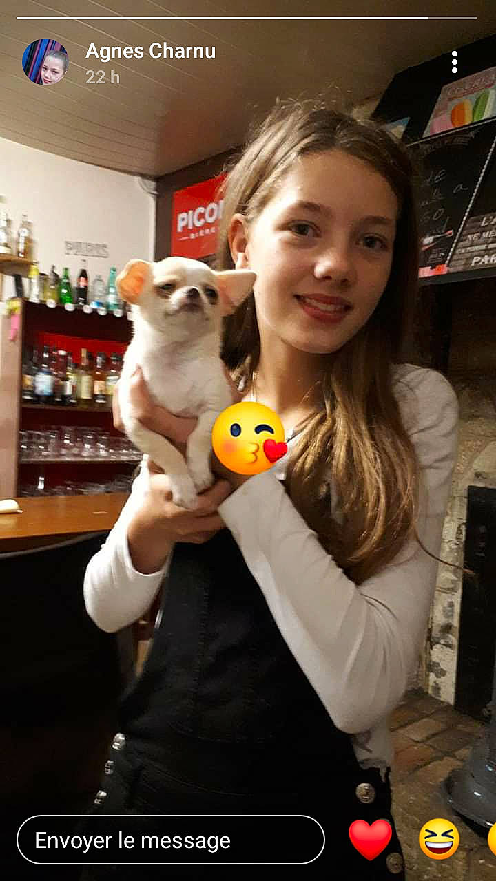 Jade participe au concours pour gagner de l'argent avec cette photo : canidae, companion_dog, fawn, joy, person, photography, plush, stuffed_toy, teddy_bear, textile, toy