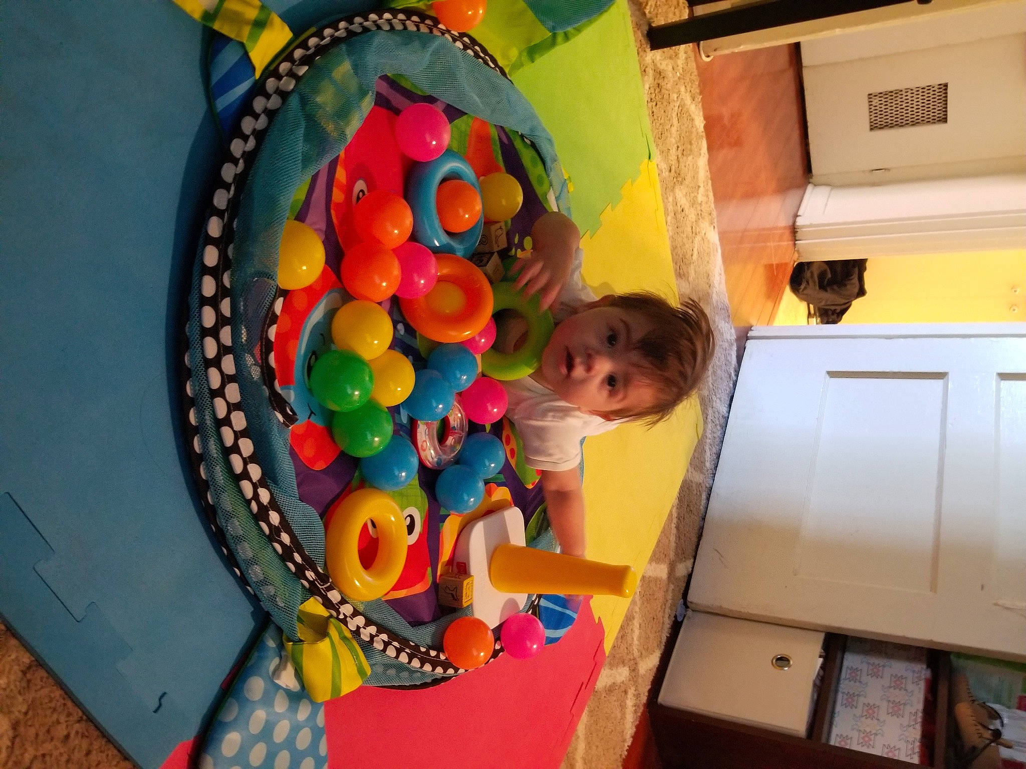 Daysun is registered to the contest to win money with this photo: baby_products, balloon, chair, child, circle, fun, houseplant, leisure, orange, party_supply, person, plant, play, product, room, stuffed_toy, surprise, tire, toy, tree