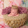 Sophia is registered to the contest to win money with this photo: newborn, baby, sleeping, crown, basket, portrait, infant, fluffy, blanket, pastel, pink, flowers, floral, studio, photoshoot, cozy, royalty, costume, face, child