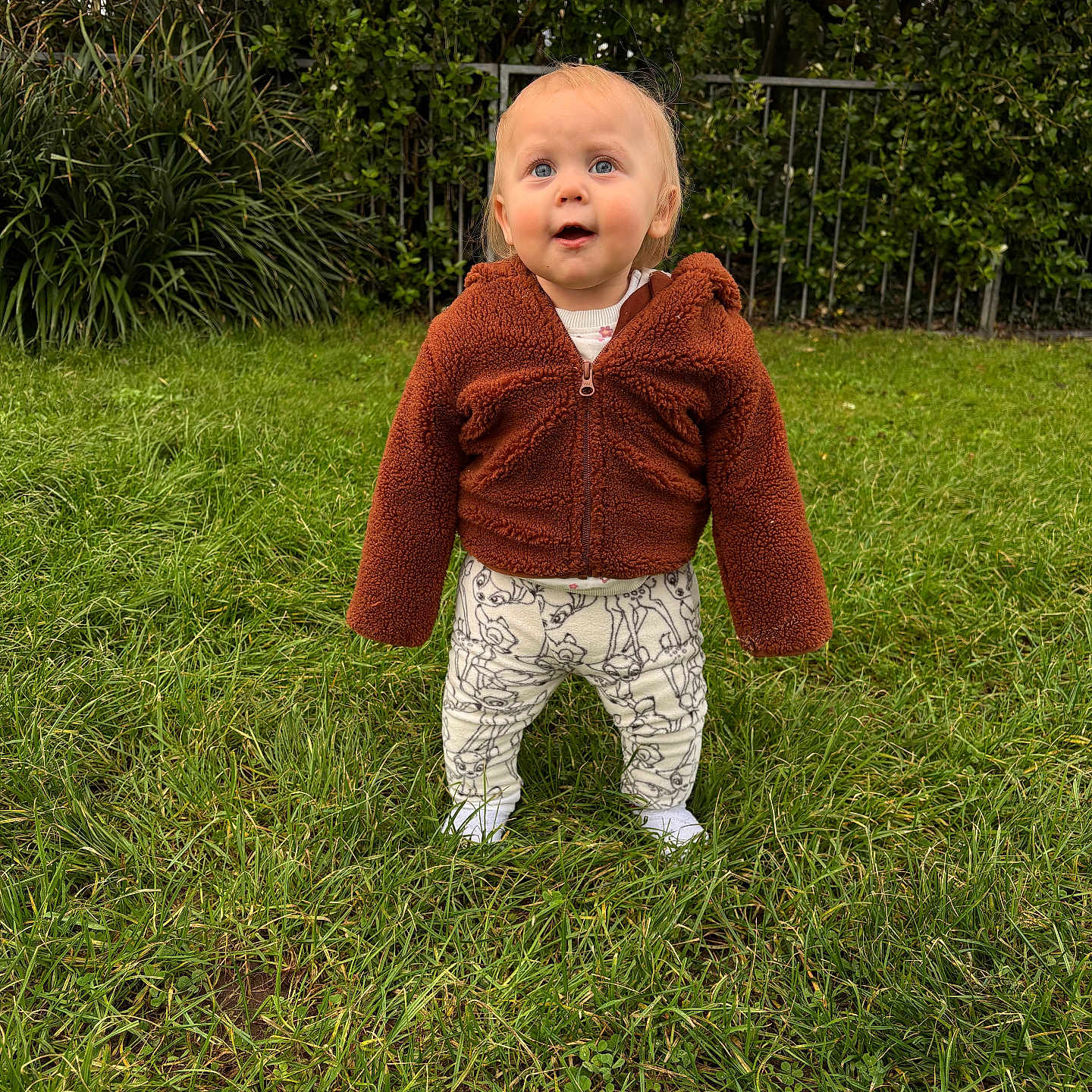 Hailey is registered to the contest to win money with this photo: baby, blue_eyes, brown_jacket, casual_clothing, child, curious, cute, daylight, grass, greenery, innocence, jacket, nature, outdoor, pants, patterned_pants, person, standing, toddler, young_child