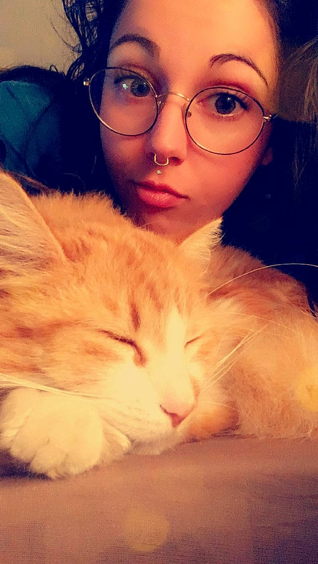 Garfield participe au concours pour gagner de l'argent avec cette photo : beauty, cat, cheek, eye, eyebrow, eyewear, face, felidae, forehead, fur, glasses, hair, head, lip, long_hair, nose, skin, small_to_medium_sized_cats, vision_care, whiskers