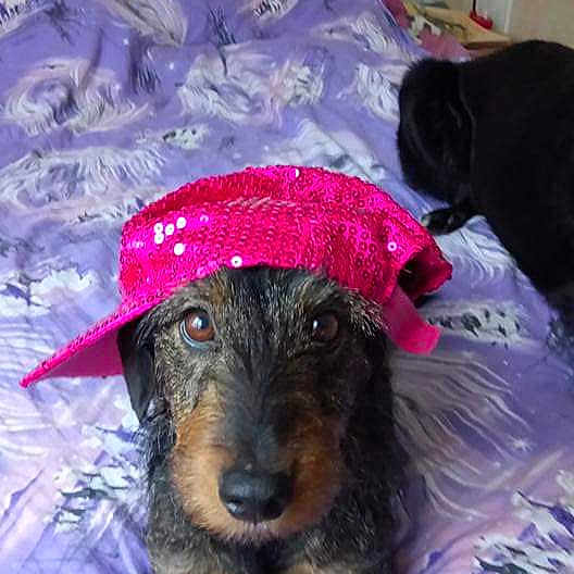 Fannie