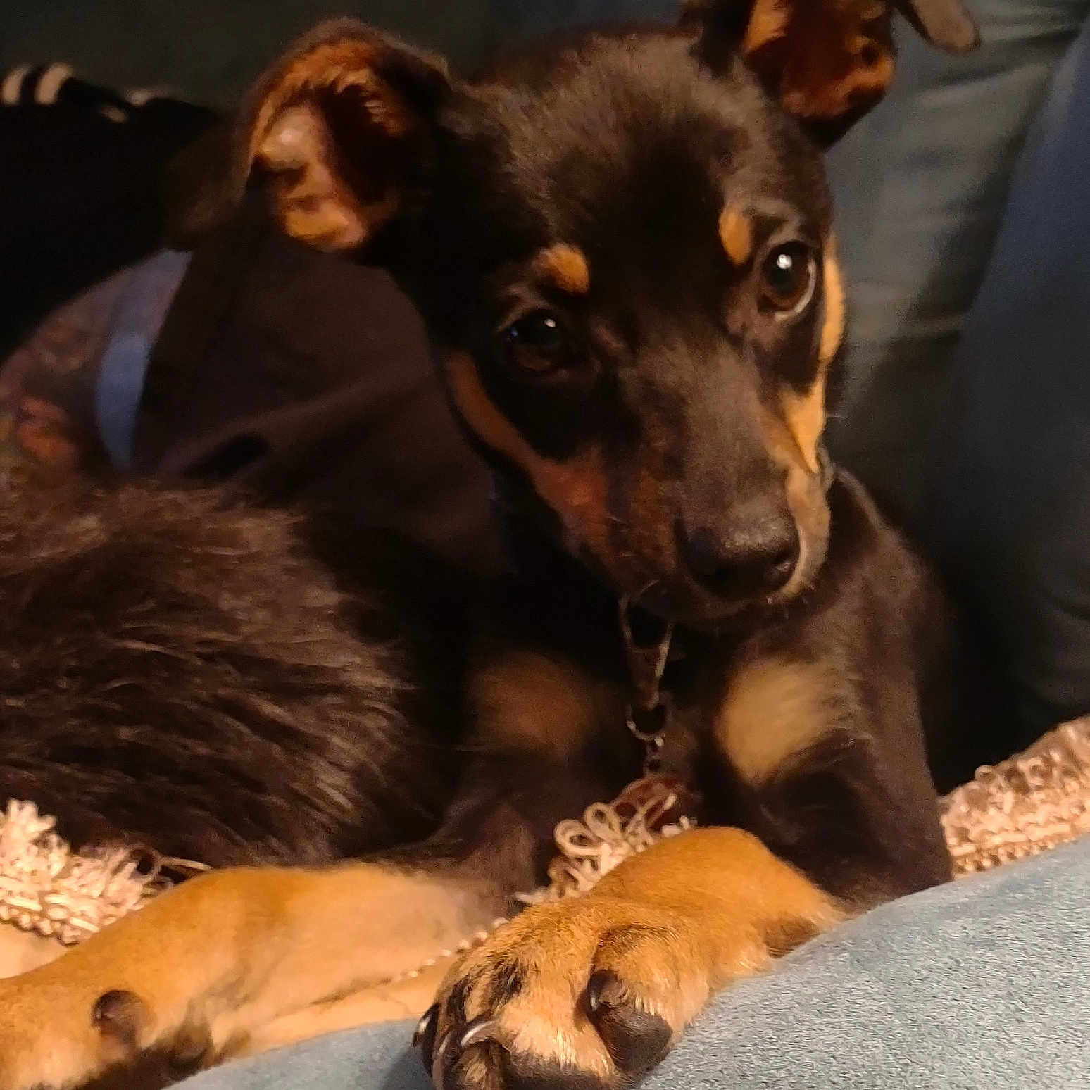 Chloe