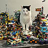 cat, lego, toy, miniature, city, building, vehicle, table, indoor, white_wall, black_and_white_cat, animal, pet, figure, play, construction, scene, colorful, decor, curious