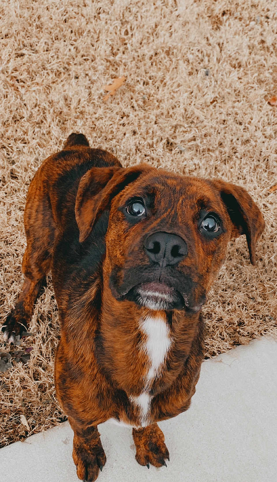 Axel