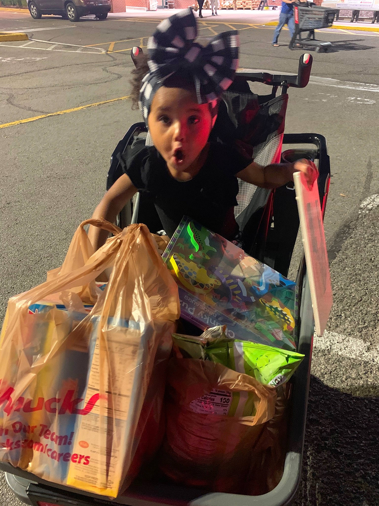 Lina is registered to the contest to win money with this photo: bin_bag, person, surprise