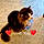 Ninia