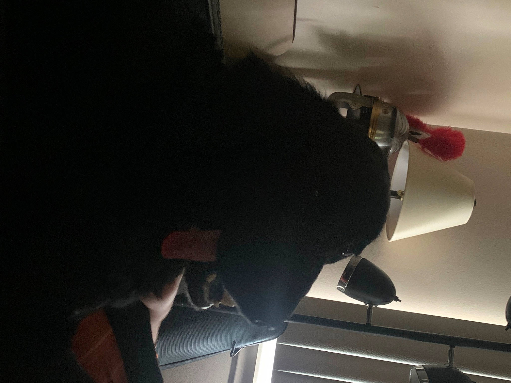 Archer joined the competition — help win amazing prizes! auto_part, automotive_design, automotive_exterior, automotive_lighting, bumper, carmine, ceiling, darkness, elbow, eyewear, gesture, hood, human_leg, personal_luxury_car, shadow, sky, tints_and_shades, vehicle_door, windshield, wrist