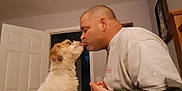Mr. B is registered to the contest to win money with this photo: man, dog, indoor, kiss, affection, pet, face, person, home, door, light, furniture, casual_clothing, brown_hair, short_hair, closeup, interaction, love, companion, animal