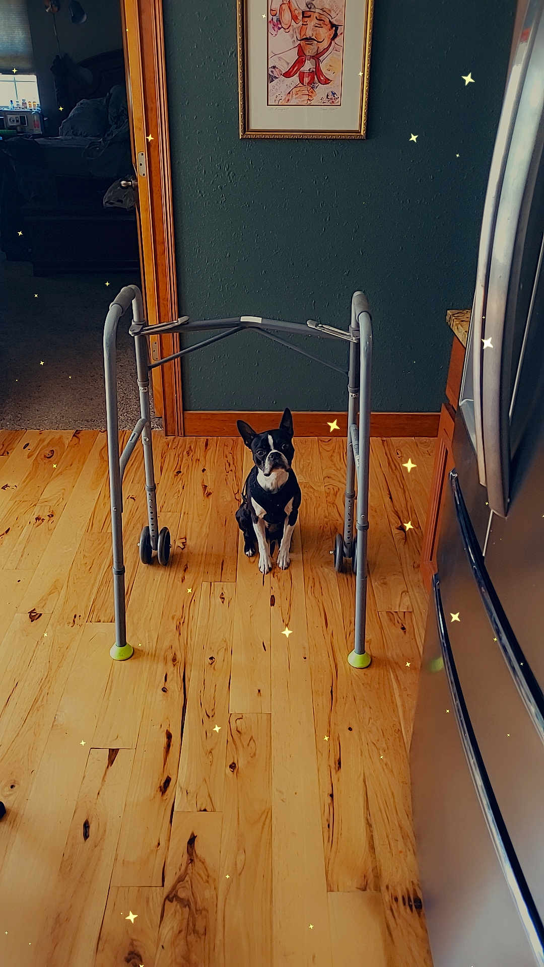 Maximus