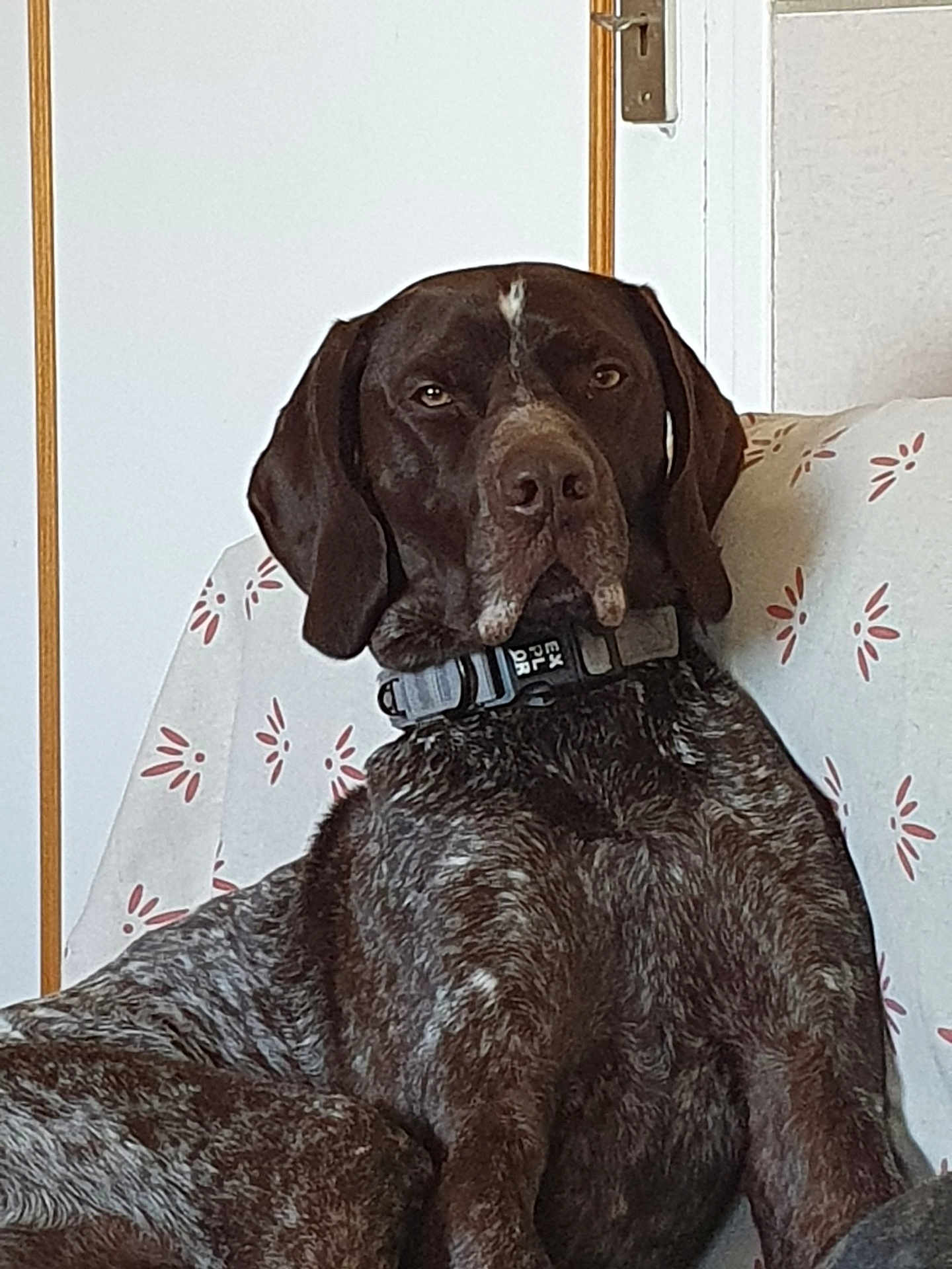 Rubben