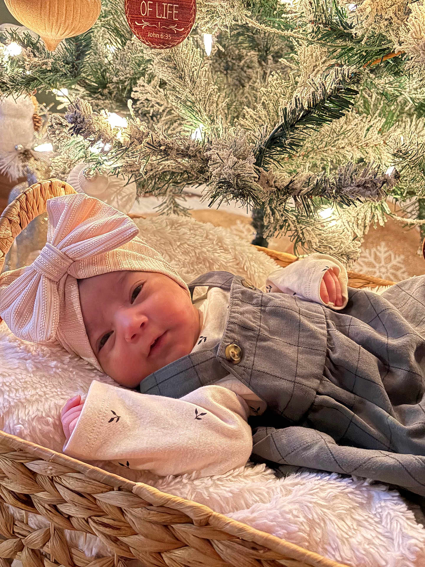 Milaya joined the competition — help win amazing prizes! baby, infant, newborn, basket, blanket, bow_headband, hat, christmas_tree, ornament, fairy_lights, pine_branch, frosted_decor, cozy, portrait, smile, clothes, fabric, holiday, decorations, soft_texture