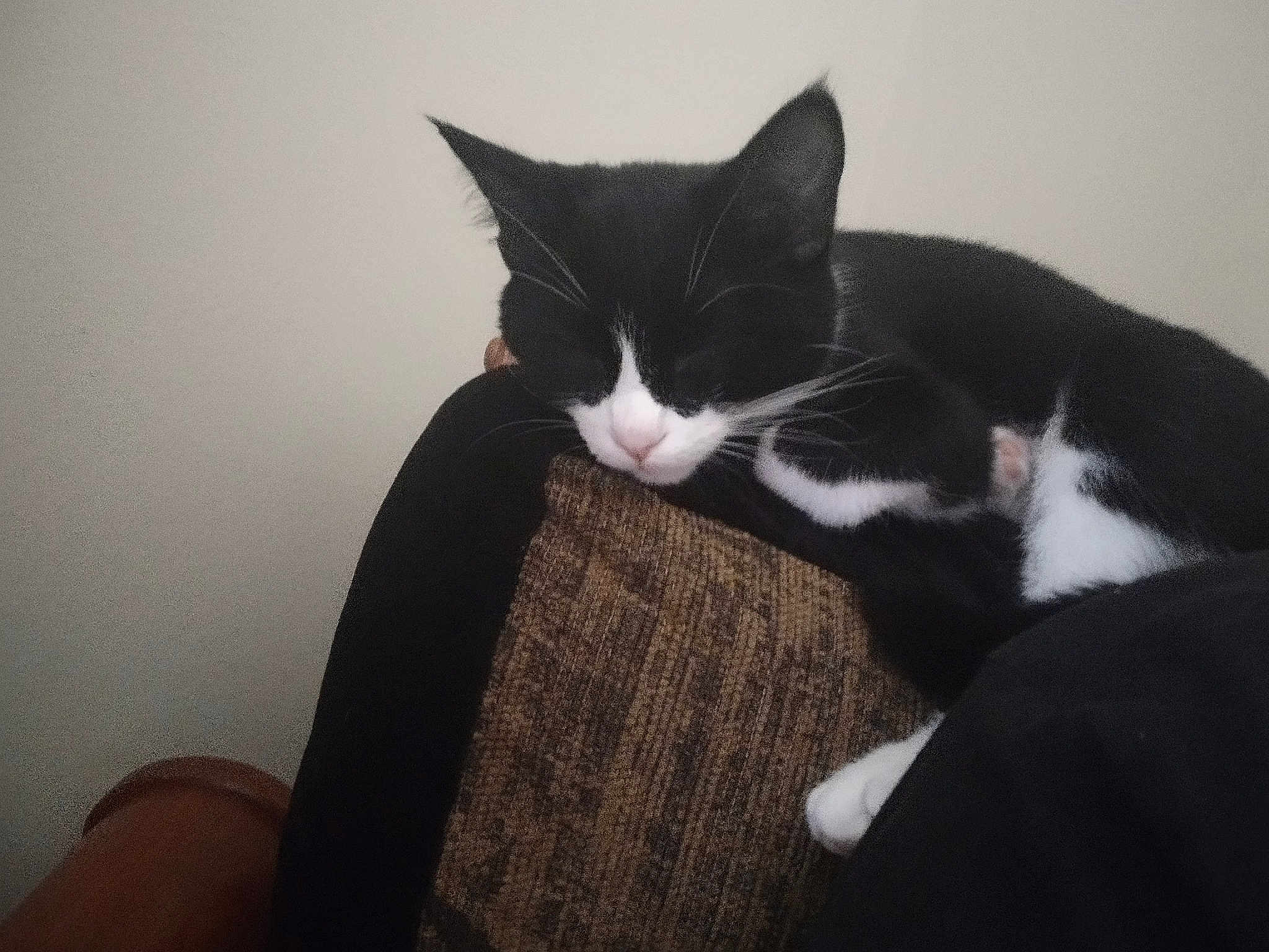 Mittens
