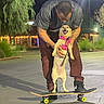 activity, animal, casual_clothing, dog, fun, greenery, happy, harness, leisure, lights, man, night, outdoor, parking_lot, pavement, pet, skateboard, smiling, supporting, tree
