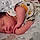 Léon