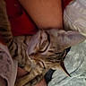 cat, kitten, tabby, sleeping, pet, animal, leg, human, blanket, fur, cozy, indoor, resting, soft, closeup, warm_colors, comfort, cute, companion, relaxation