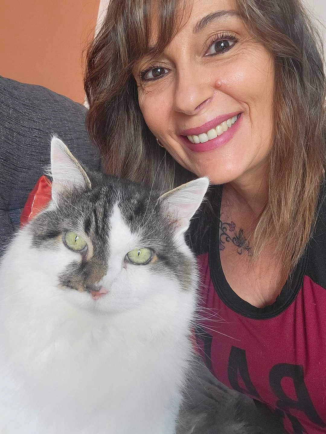 Bowser joined the competition — help win amazing prizes! beauty, carnivore, cat, eye, eyebrow, eyelash, felidae, hair, happy, head, iris, layered_hair, long_hair, makeover, nose, organ, skin, small_to_medium_sized_cats, smile, whiskers