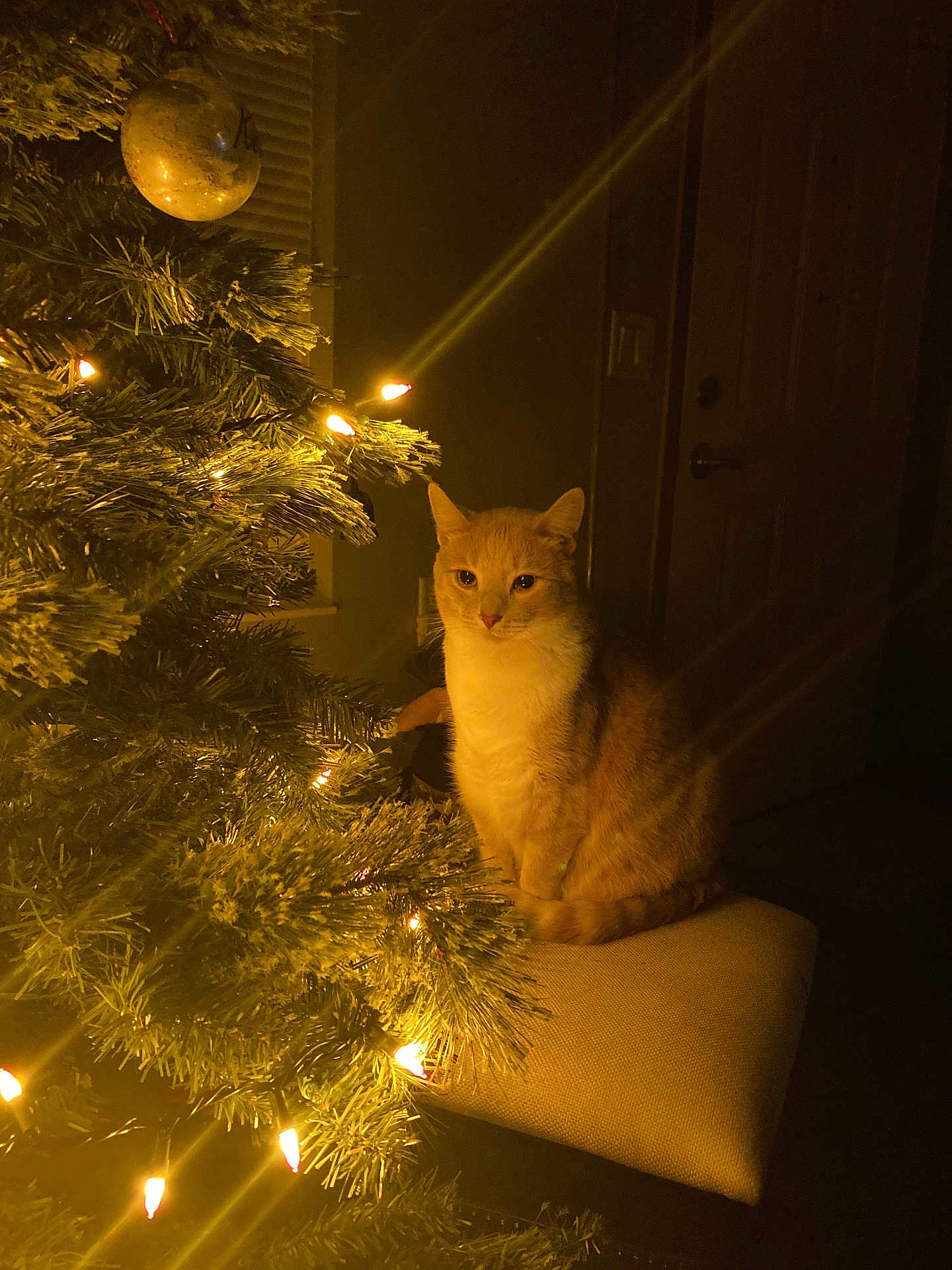 Caramel