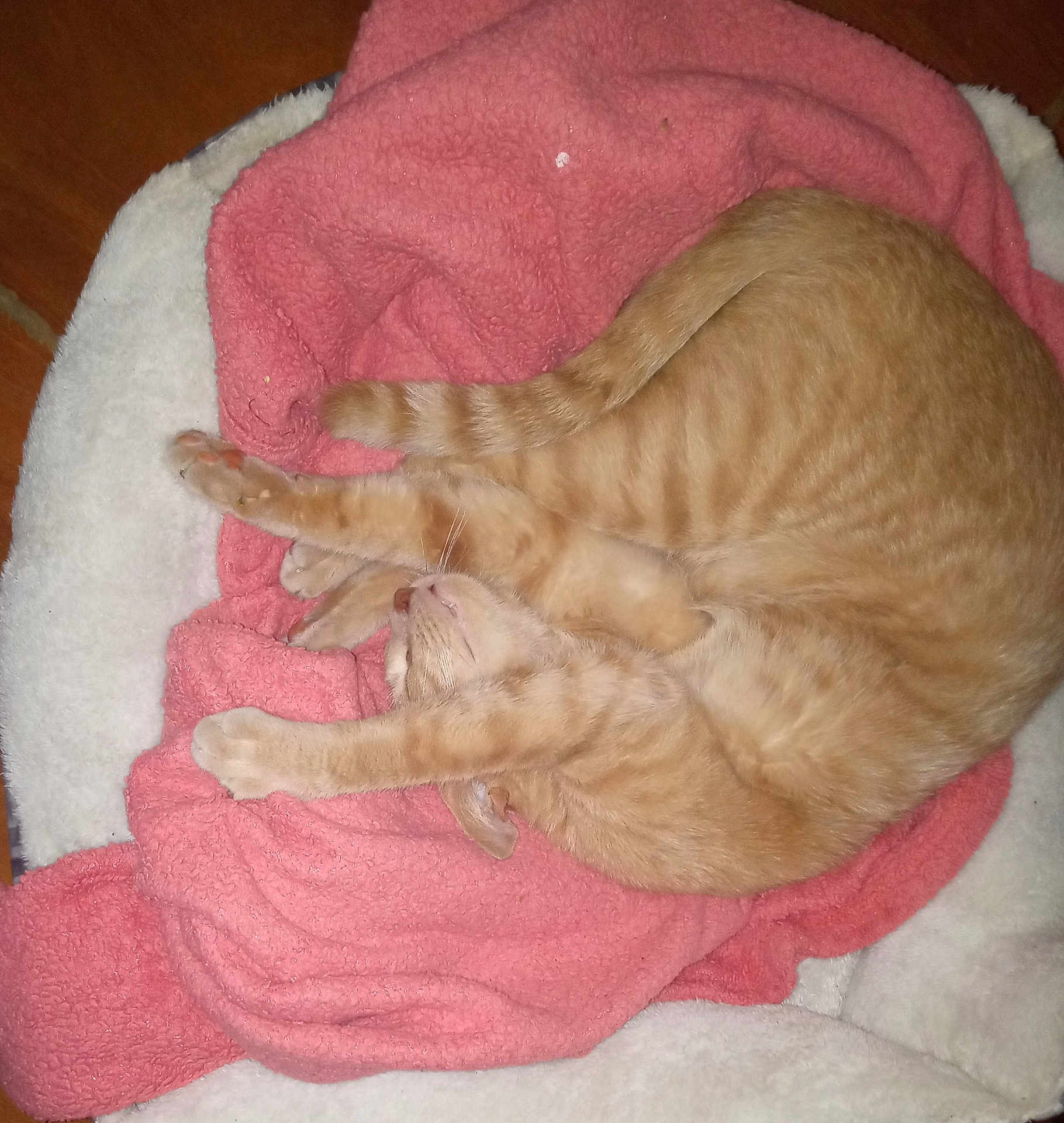 Charlie