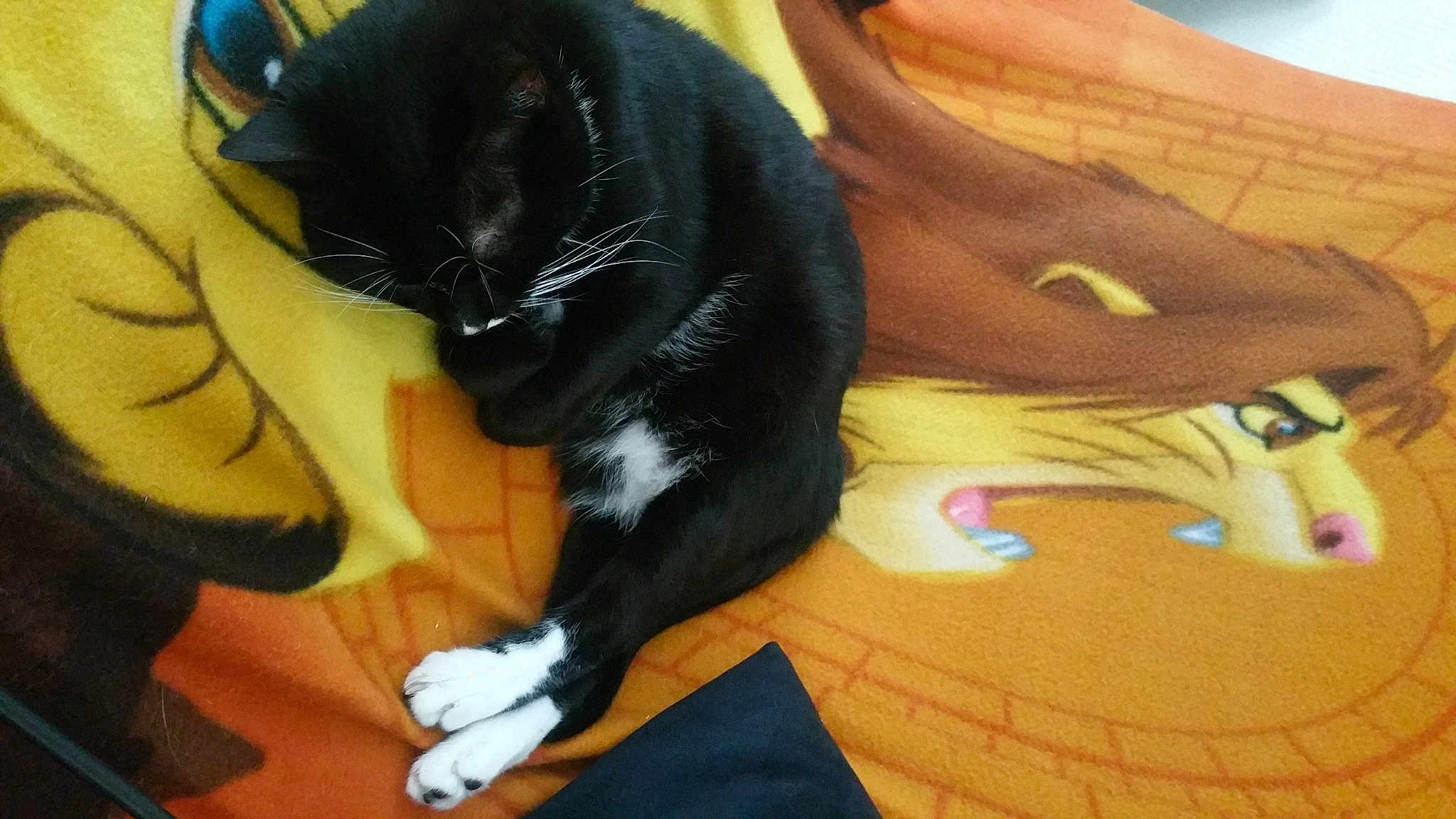 Bagheera