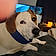 Toby