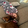 Sage is registered to the contest to win money with this photo: child, dog, couch, blanket, snowman, winter, sleeping, cozy, indoors, portrait, pet, brown_dog, long_hair, red_harness, girl, relaxed, cuddling, home, window, furniture