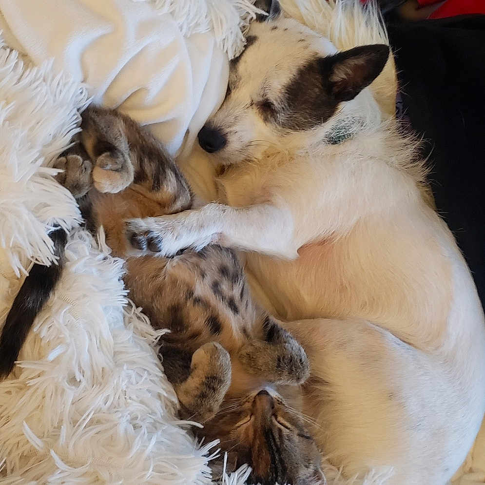 Bruno And Karen
