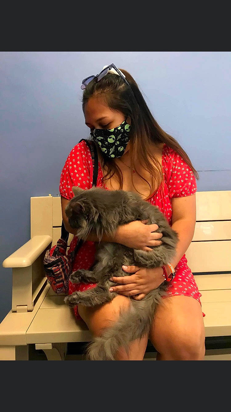 Precious joined the competition — help win amazing prizes! black_hair, brown_hair, canidae, companion_dog, dog_breed, event, eyewear, fawn, fun, fur, happy, human_leg, long_hair, shorts, sitting, sporting_group, sunglasses, thigh, toy, vertebrate