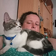 Spike a rejoint le concours — aidez-le/la à gagner de superbes lots ! animal, bell, cabinet, casual, cat, closeup, collar, domestic, furniture, gray, home, indoor, person, pet, portrait, relaxed, shoulder, sitting, white, wood