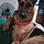 Sadie Mae