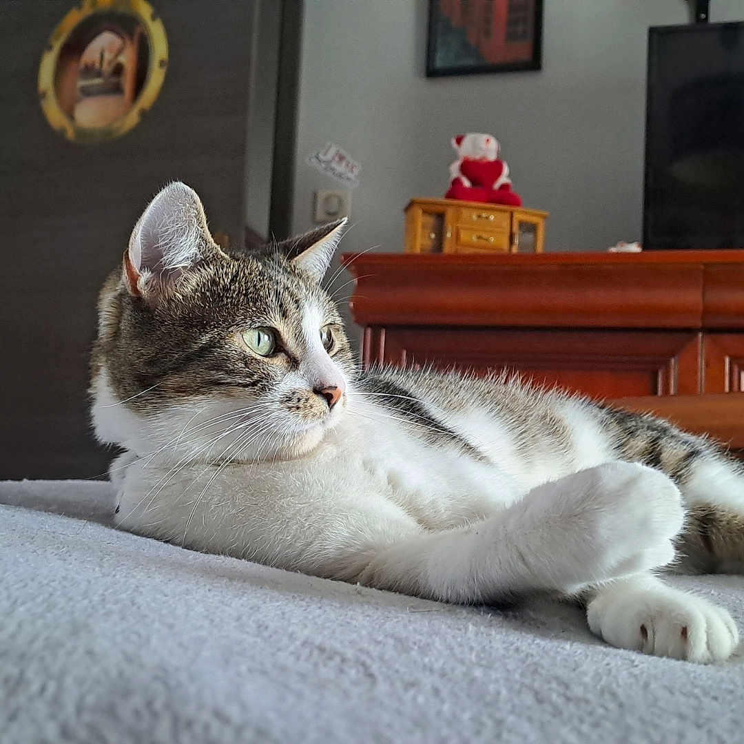 Milka