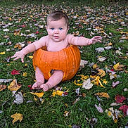 Alaska is registered to the contest to win money with this photo: baby, face, food, grass, head, leaf, maple, mapleleaf, outdoors, person, photography, plant, portrait, produce, pumpkin, soil, squash, tree, vegetable, vegetation